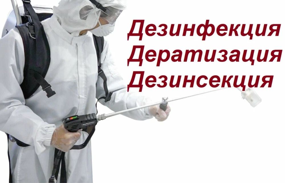 Обработка от тараканов, клопов и грызунов