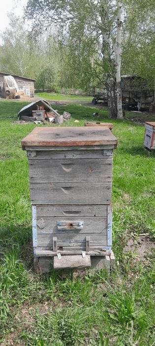 Продам ульи, сушь и пчеловодный инвентарь