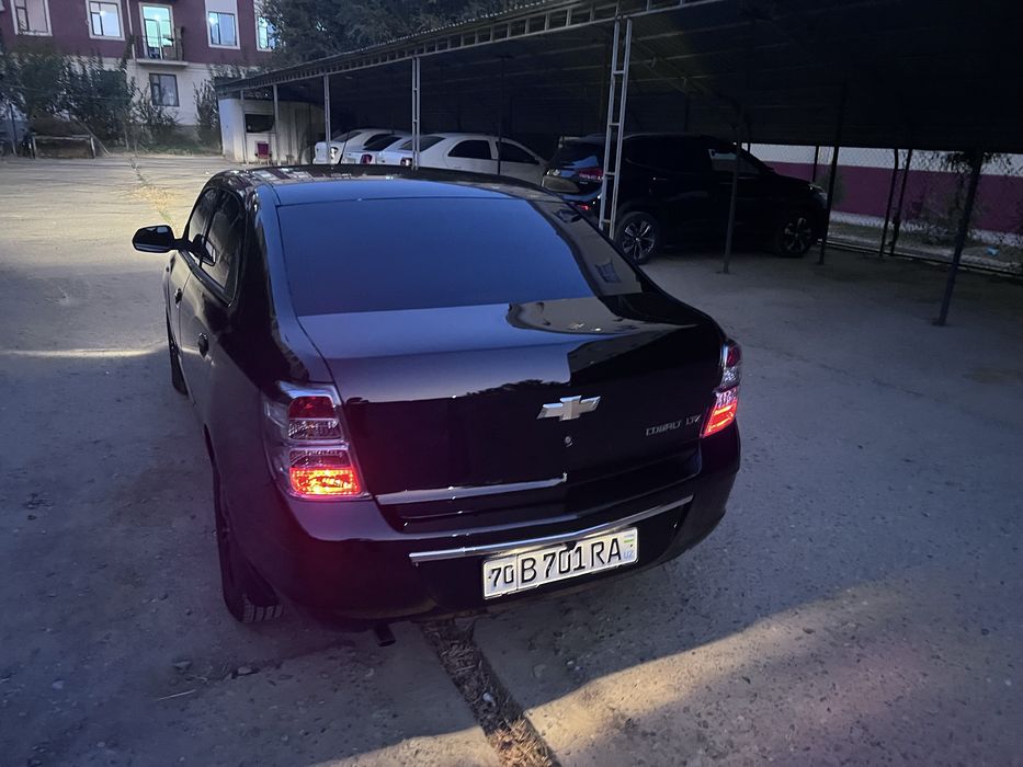 Cobalt midnight qora 2025
