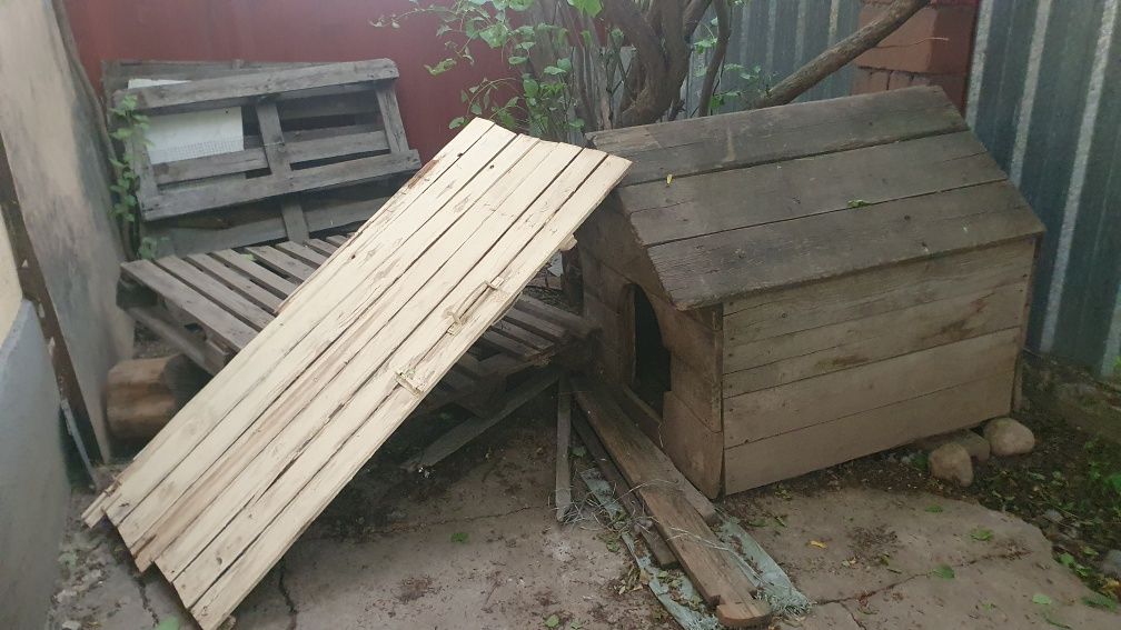 Даром дрова разные