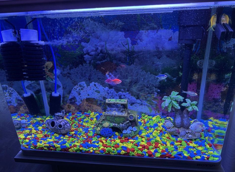 Acvariu cu comoda incorporata