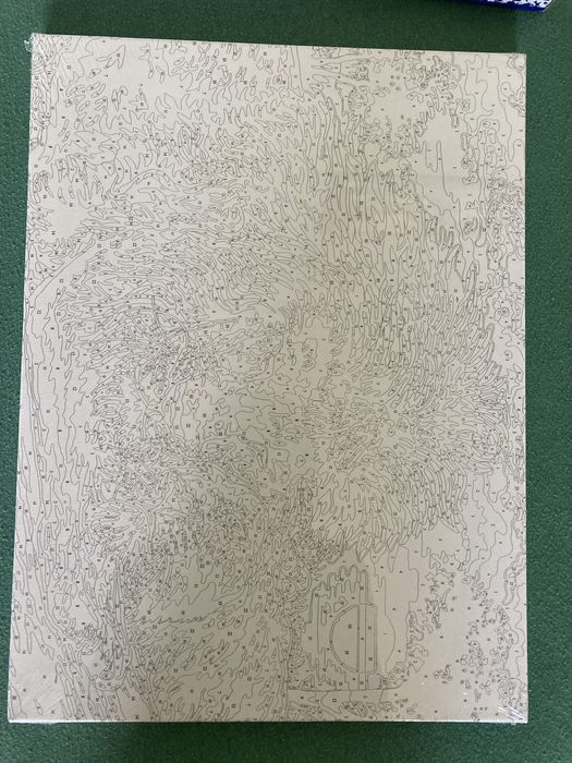 Продавам платно за оцветяване - семейство Лъвове