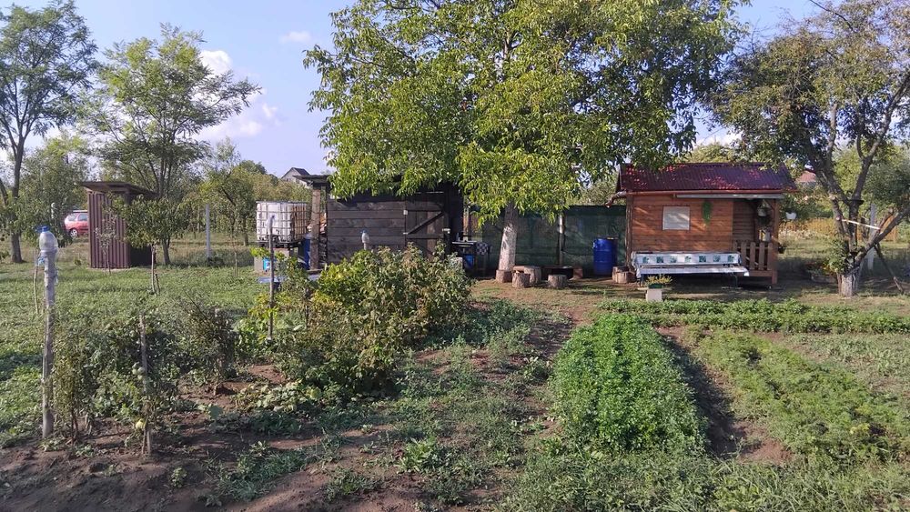 Teren extravilan de vânzare - 20 Arii