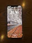 IPhone 12 pro max 256GB