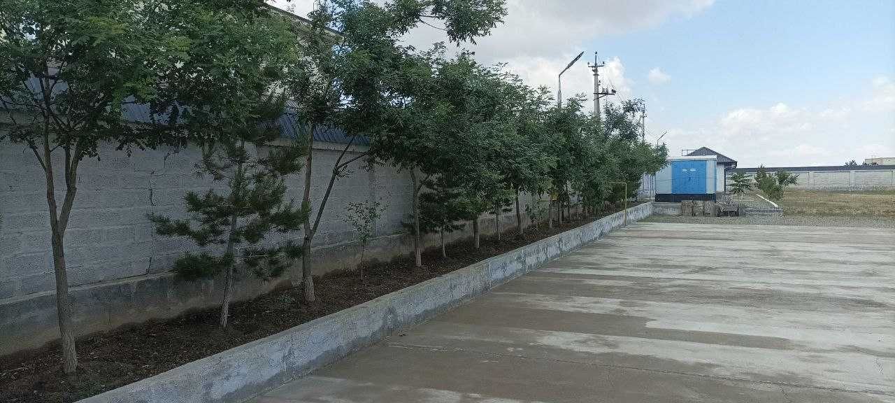 Jizzax viloyati Forish tumanida tikuvchilik majmuasi binosi sotilmoqda