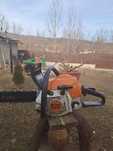Drujba stihl ms181