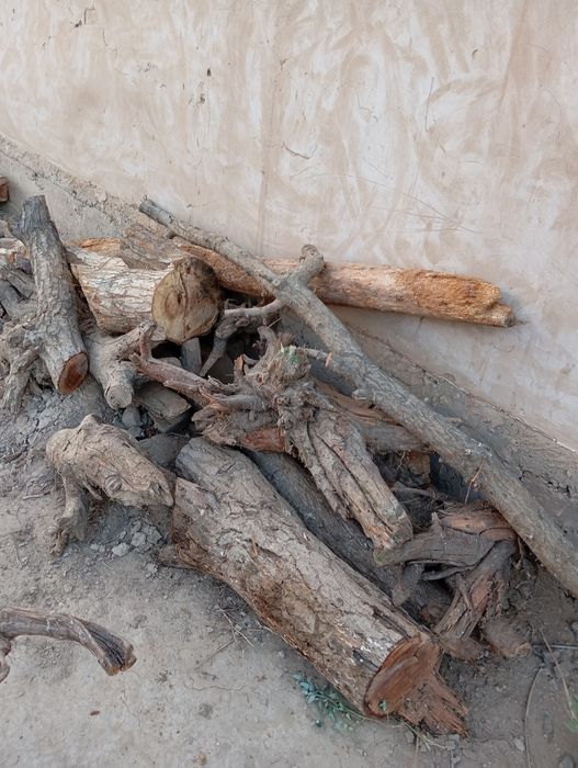 Отын бар. Той садакага.