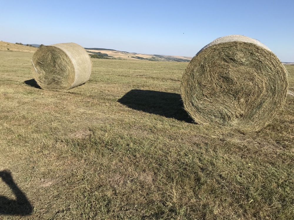 Baloți rotunzi fân pe plasă