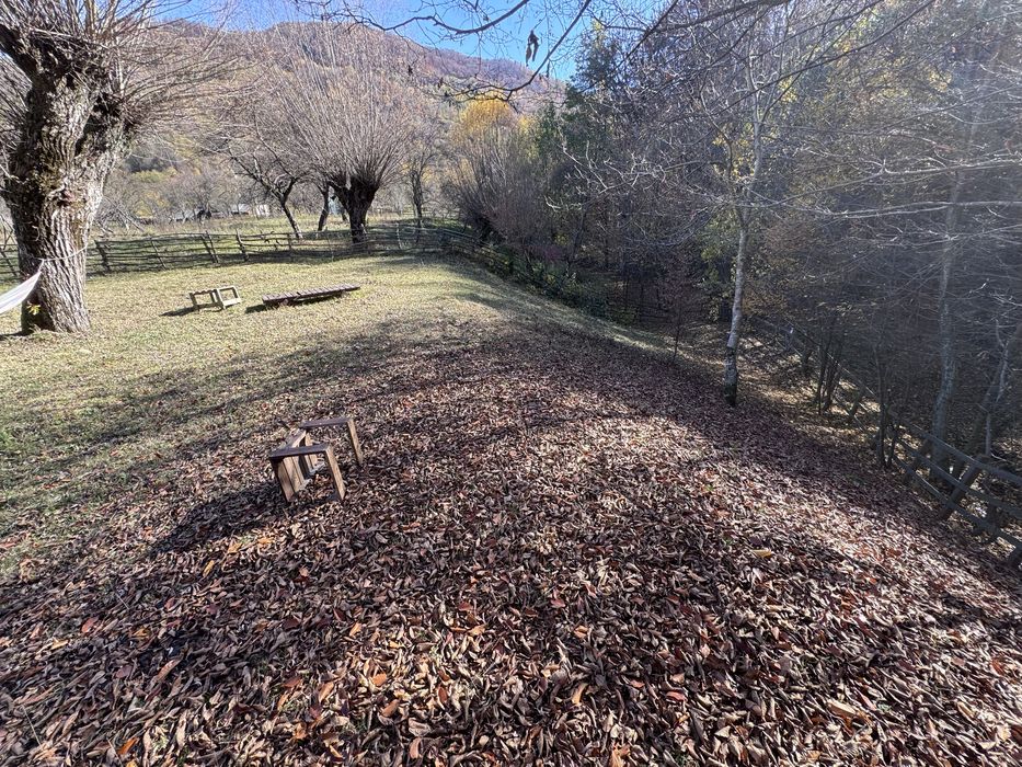 Teren intravilan Bradulet (Ungureni) , imprejmuit, langa padure