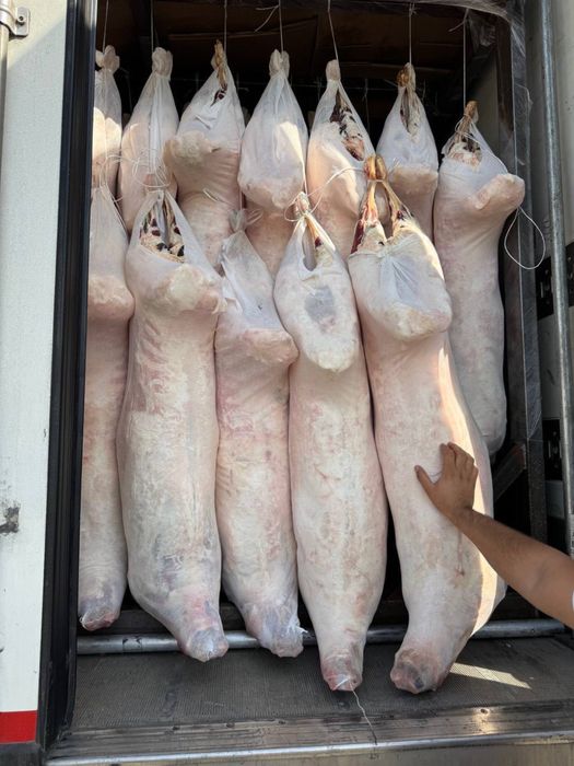 Qoʻy GOʻshti 69.000 soʻmdan 17 kg dan 30 kg gacha