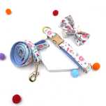 Set premium pentru caini