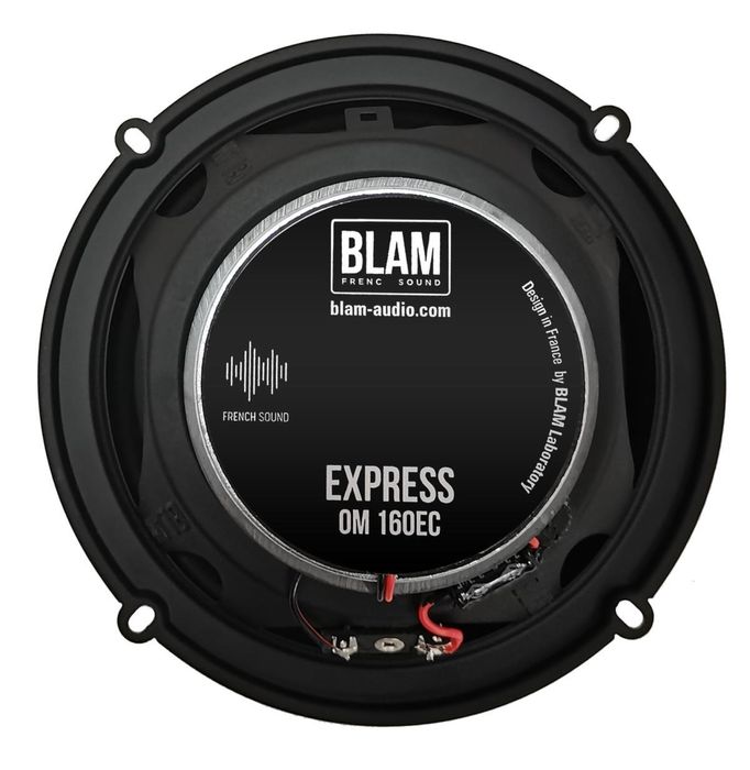 BLAM OM160 EC - 2 полосная коаксиальная акустическая система