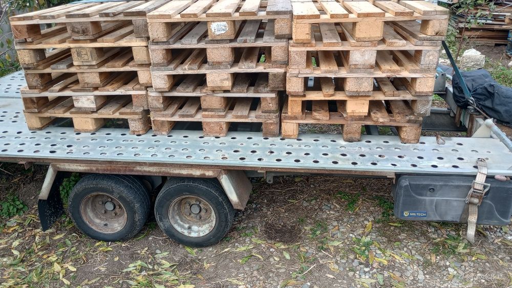 Vând  15 buc europaleti