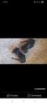 Botine piele 36 cu toc inalt
