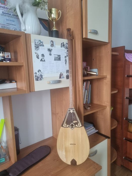 Домбра профессионалная