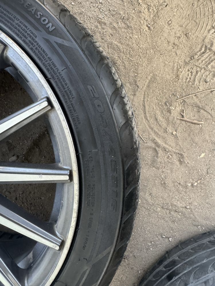 Vossen 16 saka alo
