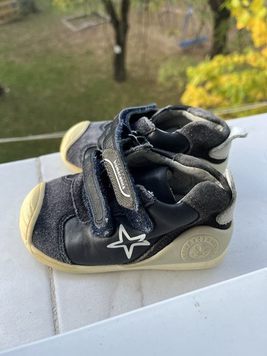 Biomechanics 21 номер