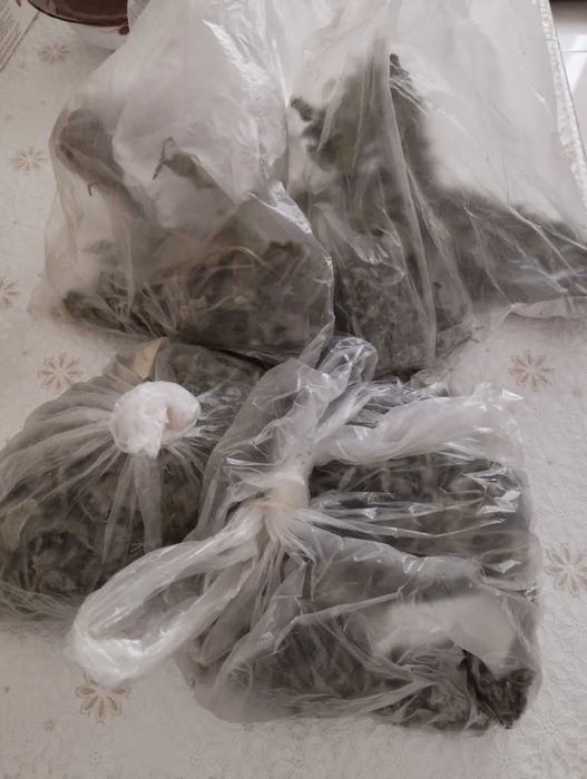 Отдам даром сушеную траву мяту и мелиссу