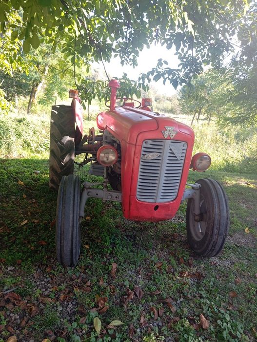 Vând tractor massey ferguson 35