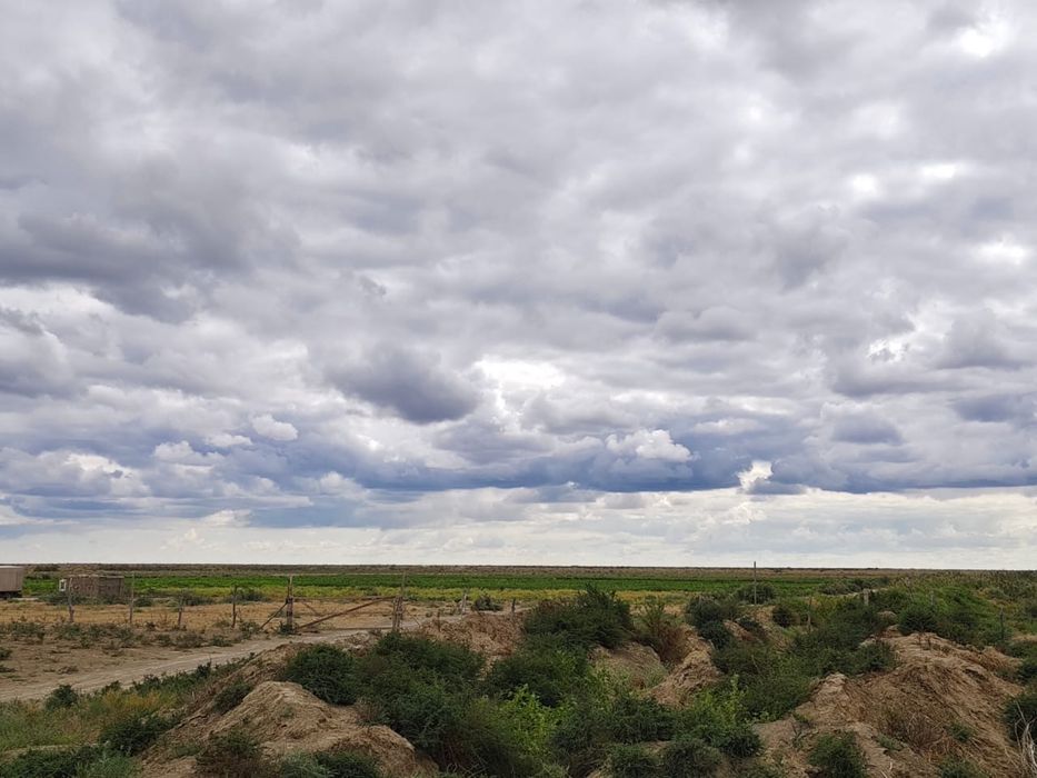 Земельный участок