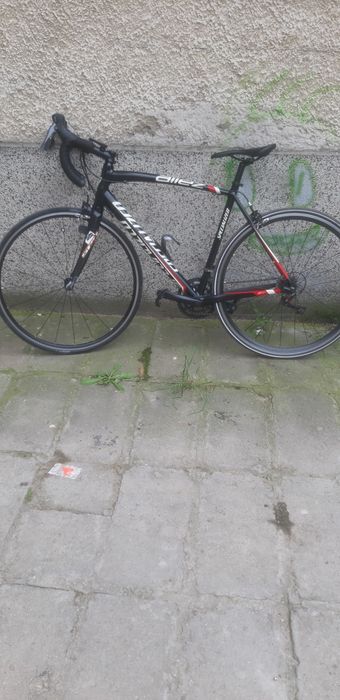 Specialized alliz