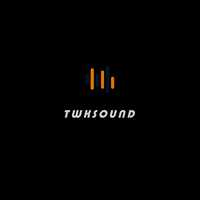 (Мега акция до 31 марта) Студия звукозаписи TWK Sound