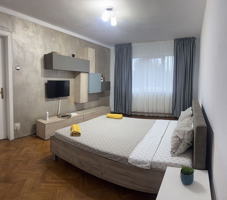 Apartament Regim Hotelier Central Targ de Craciu