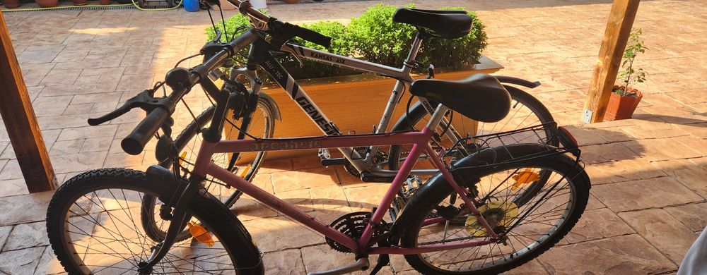 Bicicleta Prophete