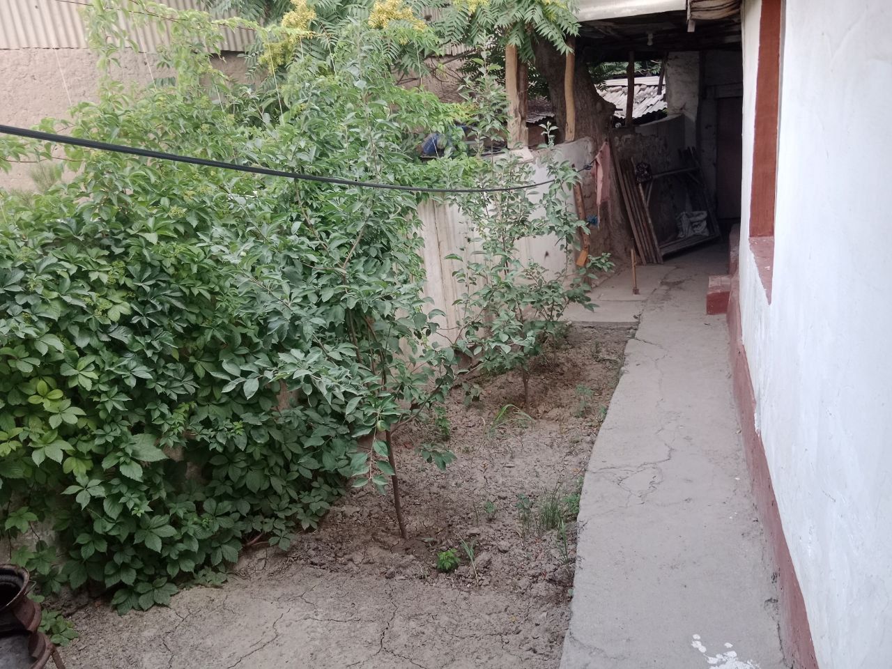 Uy sotiladi , Zomin kochasi , Ulugbek mfy