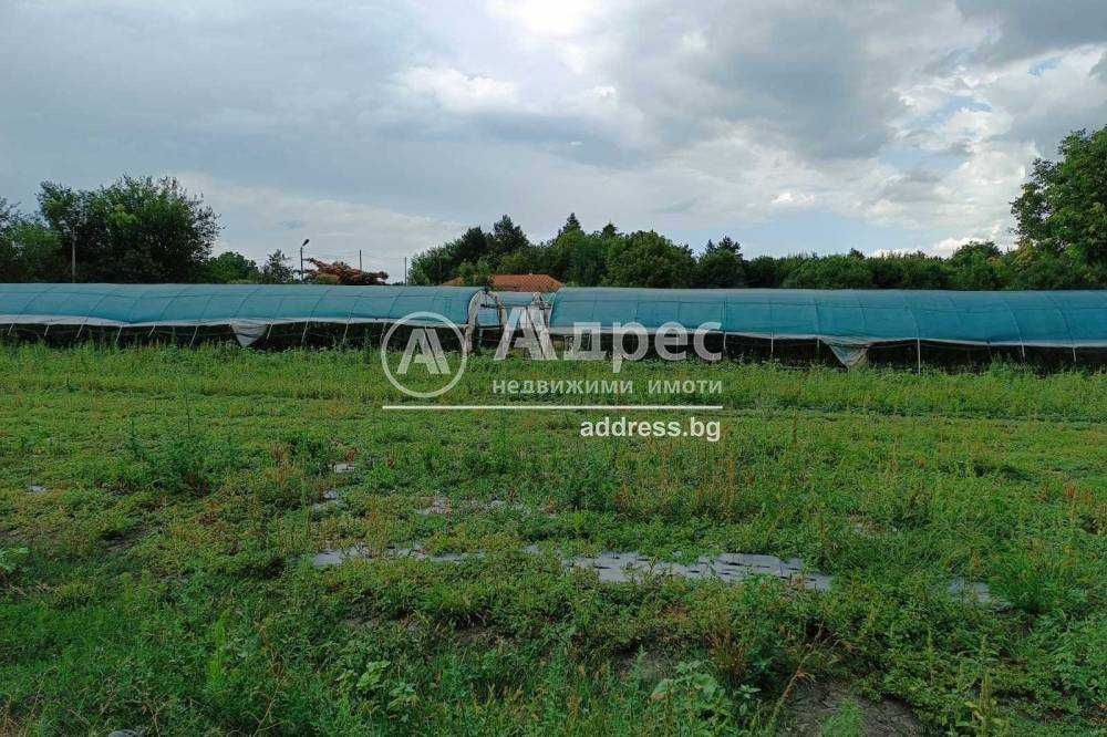 Продава се Земеделски имот в Разград, Център -  кв.м за 24000 €/дка - Снимка #5
