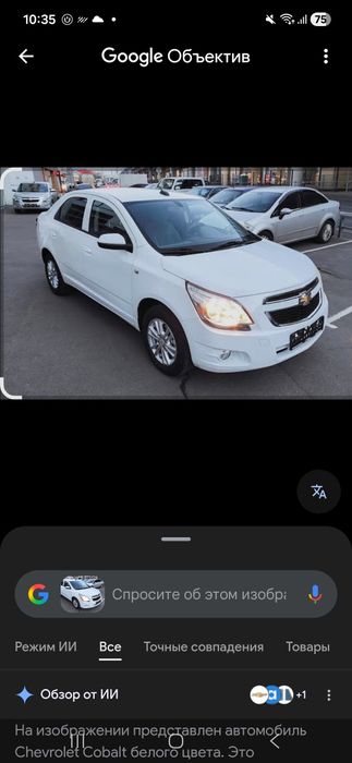 Cobalt stayl at 2024 yil