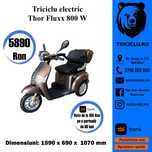Triciclete electrice THOR FLUXX Agramix NOI