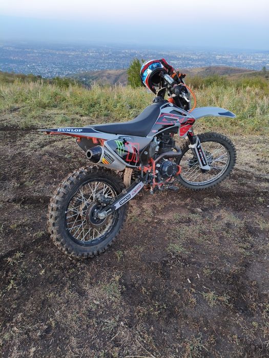 progasi пальма 250 в отличном состаяние обмен неинтересует