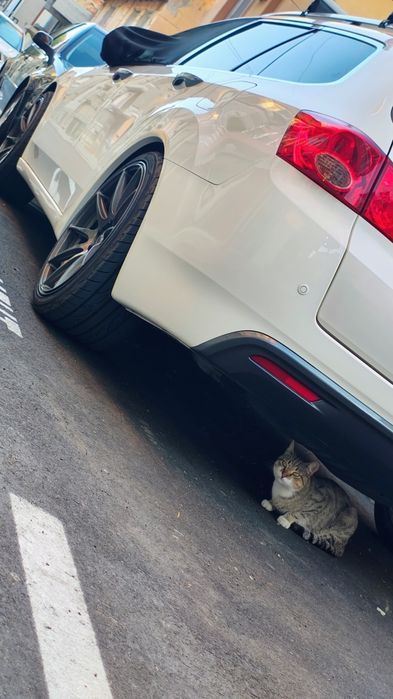 Джанти XXR  19 с гуми Yokohama