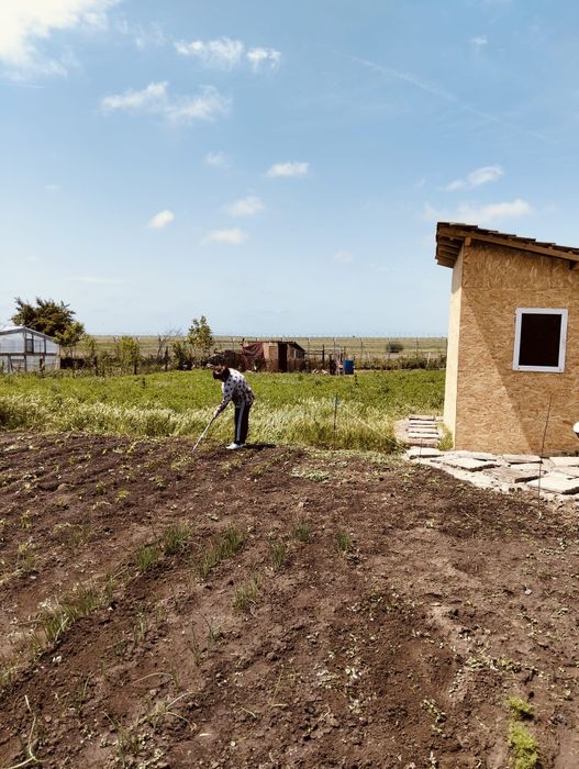 Vând teren in oituz, comuna Lumina.