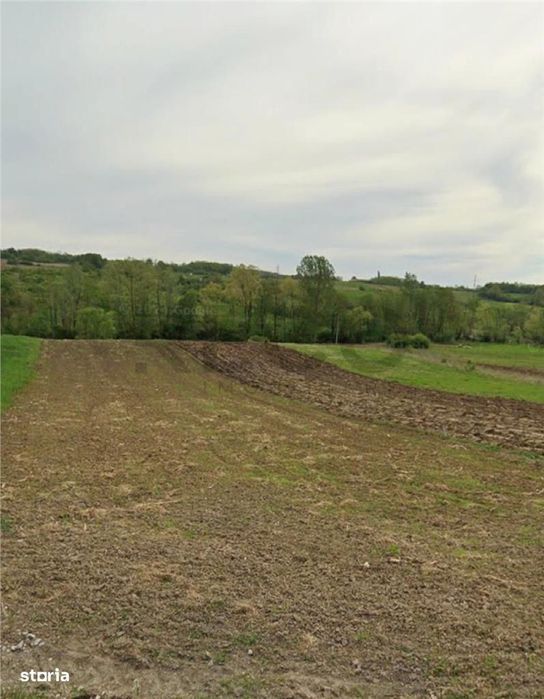 RECO Teren extravilan in Dragesti spre Stracos 6552mp