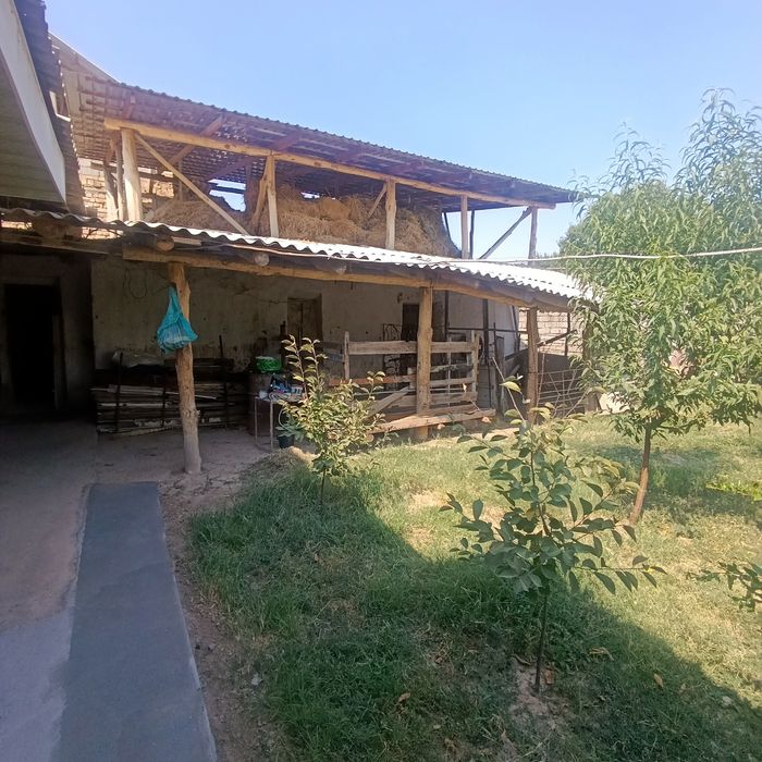 Bedniy pasyolka Raimqulov kochasida uy sotiladi 8 sotix