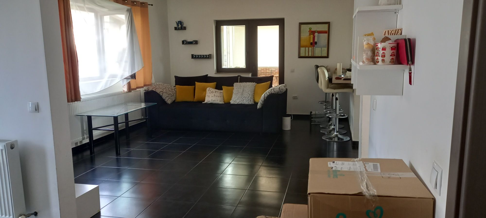 PF vand casa 5 camere in Vorovesti 170mp + 800mp teren  + Garaj
