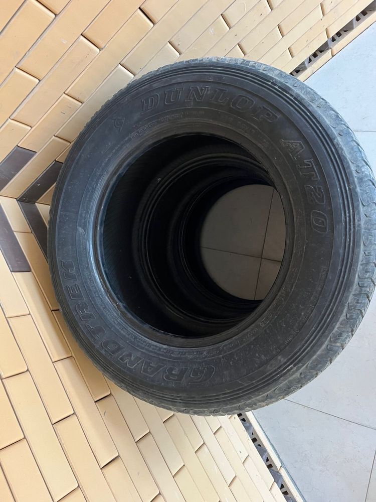 Резина летняя шины dunlop R17
