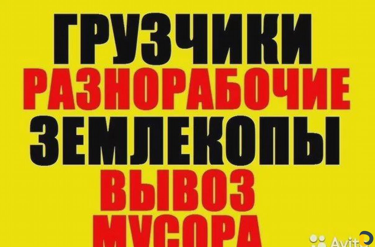 Услуги разнорабочих любые работы.