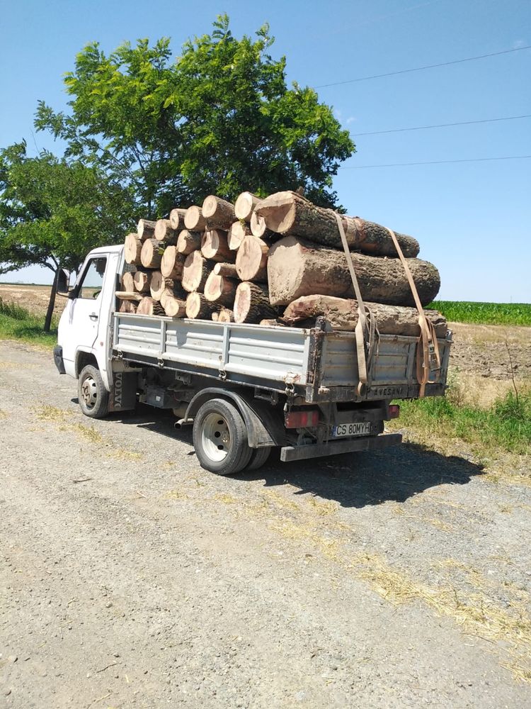 Lemn de foc esență tare