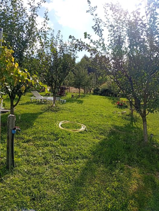 Cabana de inchiriat la marginea padurii