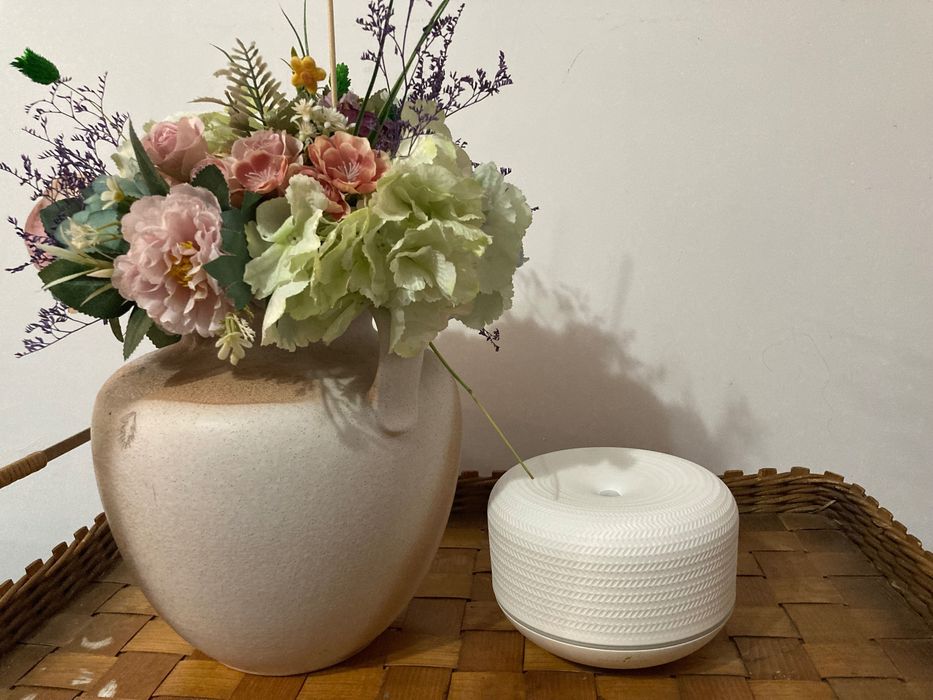 Aromatizor Macaron Young Living