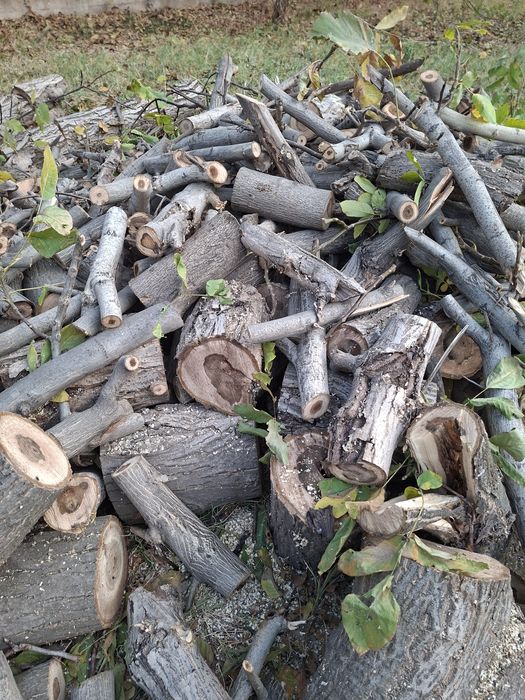 Дрова,  отын,  көмір,