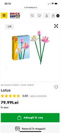 Lego 40647 botanica