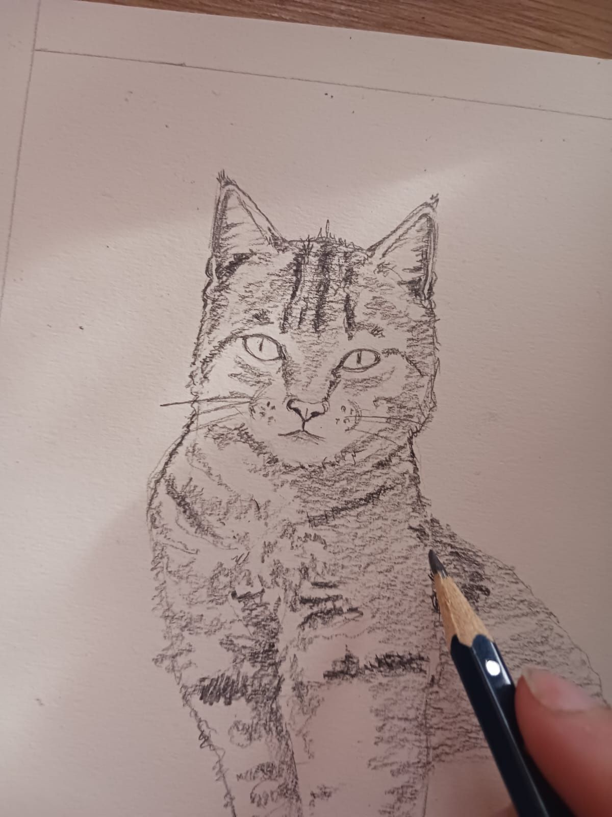 Tablou Portret pisicuța A5 grafica in creion comanda