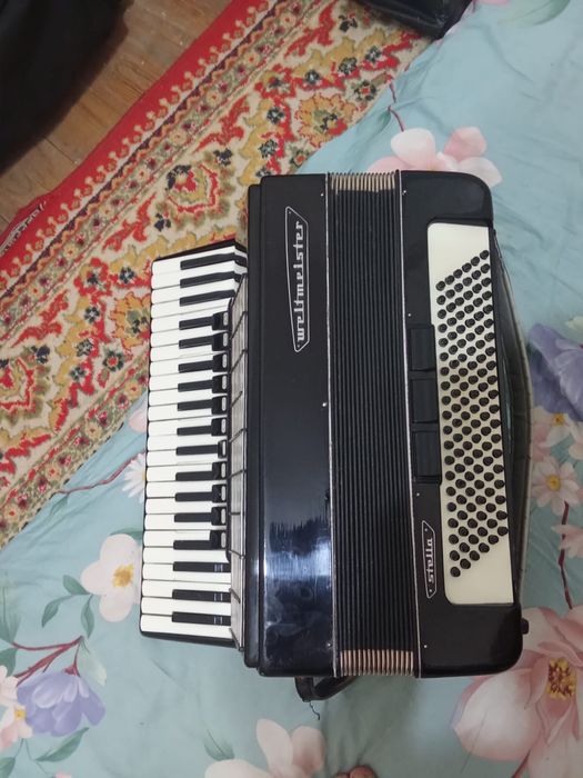Аккордеон 24 клавиш