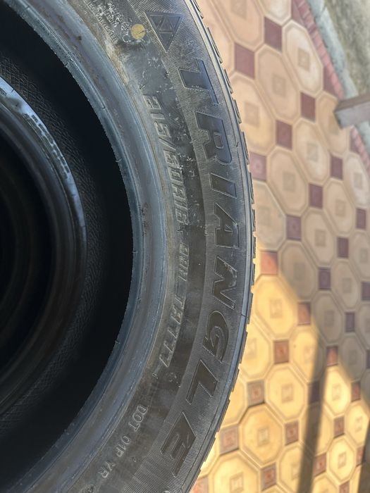 Зимние шины. Triangle