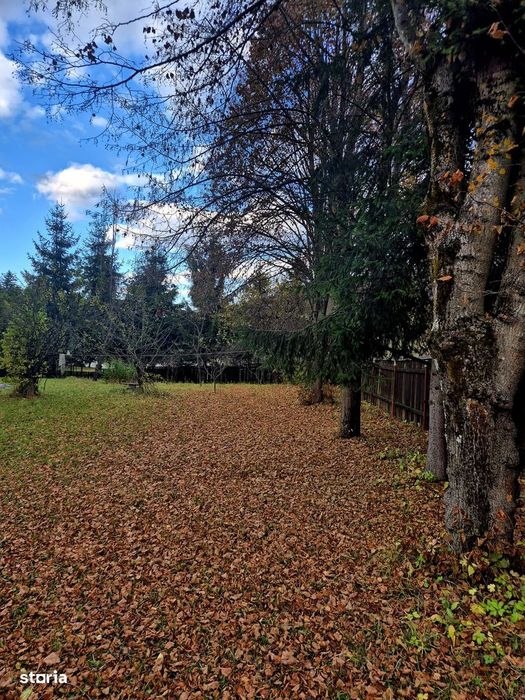 Comision 0 %, teren intravilan 2000 mp, Timisu de Sus, Brasov