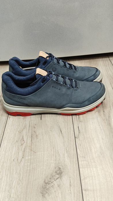 Ecco. Nr.   46..